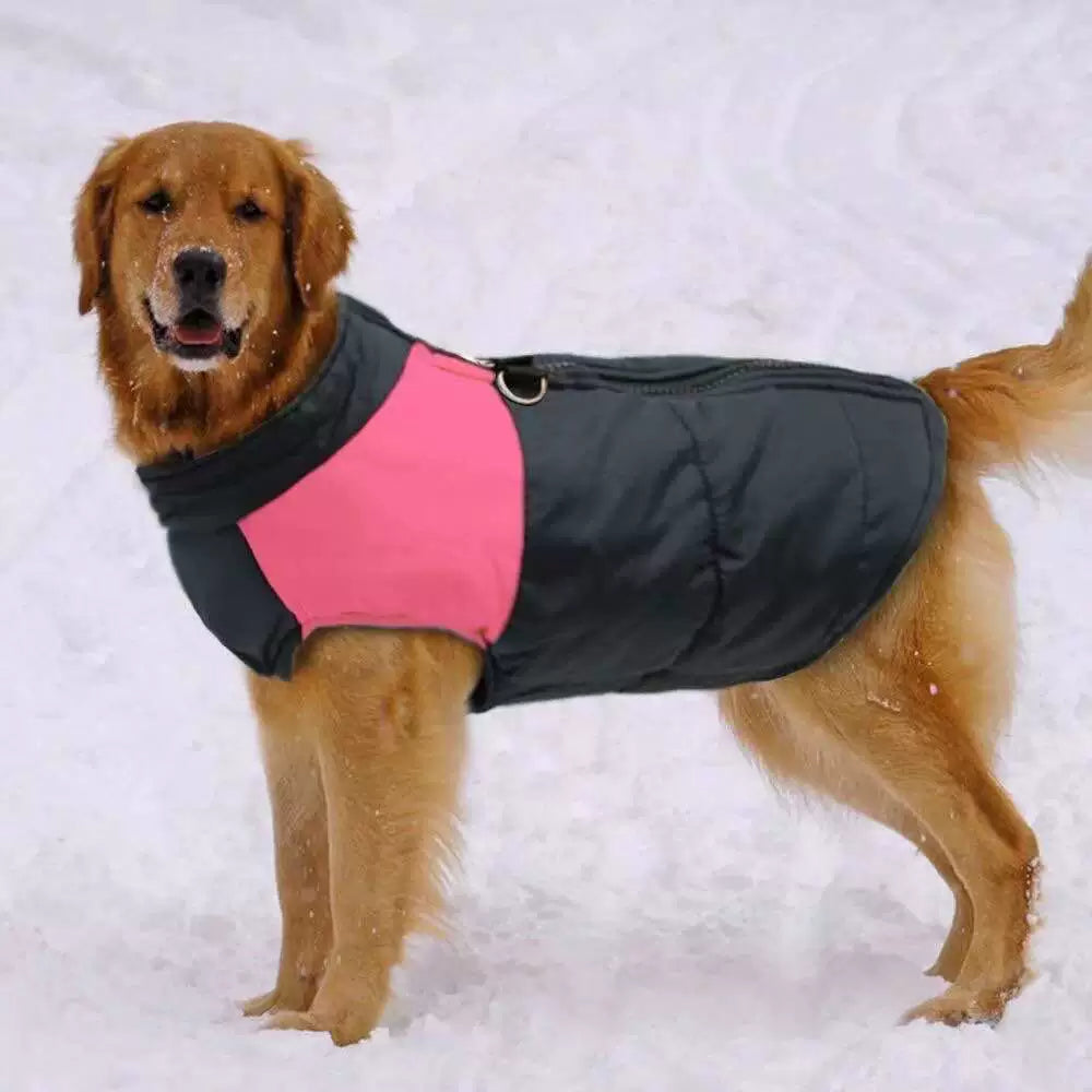 Dog Clothes Winter Clothes Large Dog Cotton Clothes Thickened Warm Pet Small Size Dogs Jarre Aero Bull Teddy/Golden Retriever Big Dog Autumn Clothes