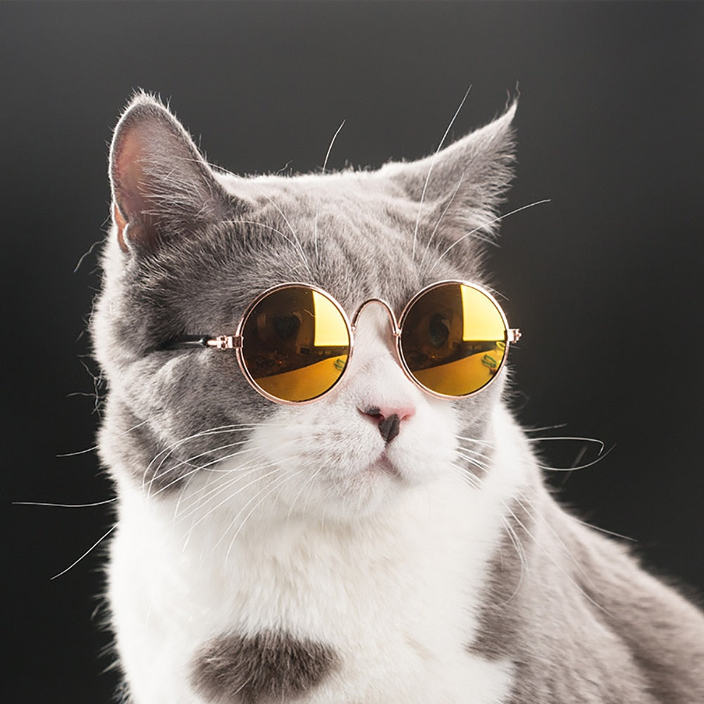 Pet Cat Dog Glasses Pet Products for Little Dog Cat Eye Wear Dog Sunglasses Kitten Accessories Pet Supplies Cat Toy